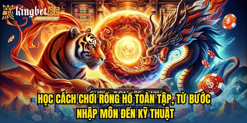 Học cách chơi Rồng Hổ toàn tập, từ bước nhập môn đến kỹ thuật