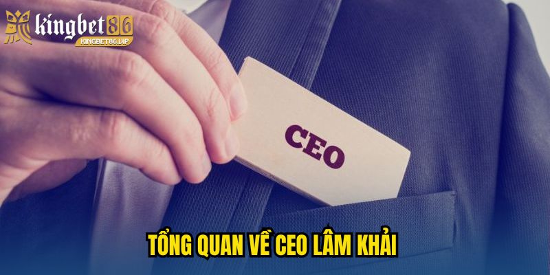 Tổng quan về CEO Lâm Khải 