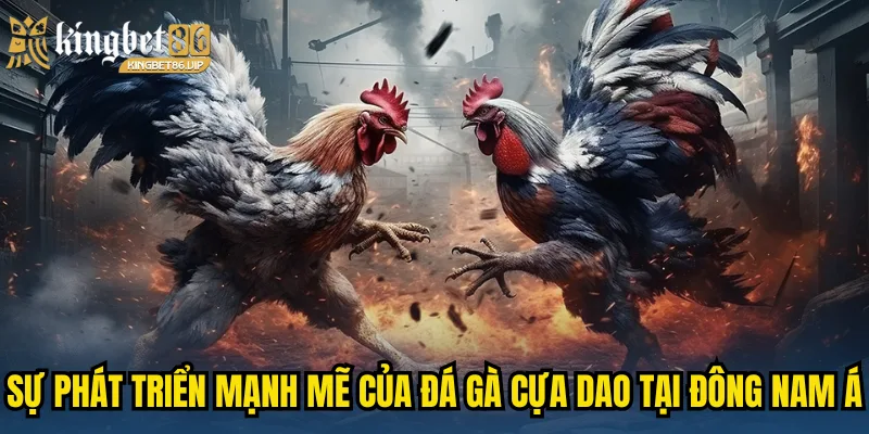 Sự phát triển mạnh mẽ của đá gà cựa dao tại Đông Nam Á