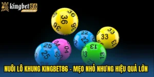 Nuôi lô khung