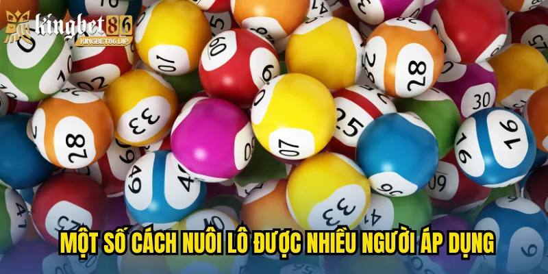 Một số cách nuôi lô được nhiều người áp dụng